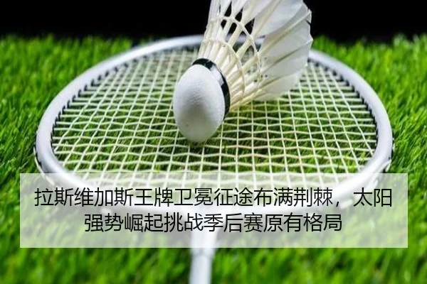la-si-wei-jia-si-wang-pai-wei-mian-zheng-tu-bu-man-jing-ji-tai-yang-qiang-shi-jue-qi-tiao-zhan-ji-hou-sai-yuan-you-ge-ju-2-202.jpg