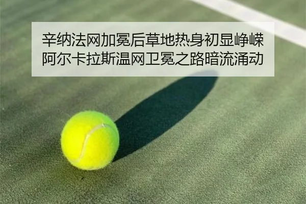 xin-na-fa-wang-jia-mian-hou-cao-di-re-shen-chu-xian-zheng-rong-a-er-ka-la-si-wen-wang-wei-mian-zhi-lu-an-liu-yong-dong-2-791.jpg