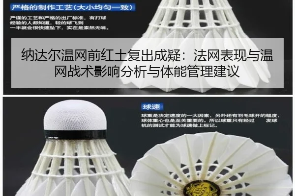 na-da-er-wen-wang-qian-hong-tu-fu-chu-cheng-yi-fa-wang-biao-xian-yu-wen-wang-zhan-shu-ying-xiang-fen-xi-yu-ti-neng-guan-2-422.jpg