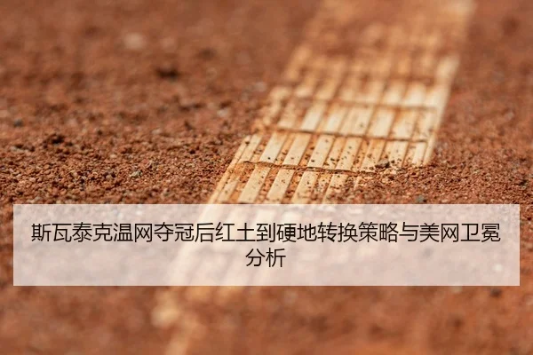 si-wa-tai-ke-wen-wang-duo-guan-hou-hong-tu-dao-ying-di-zhuan-huan-ce-lve-yu-mei-wang-wei-mian-fen-xi-3-265.jpg